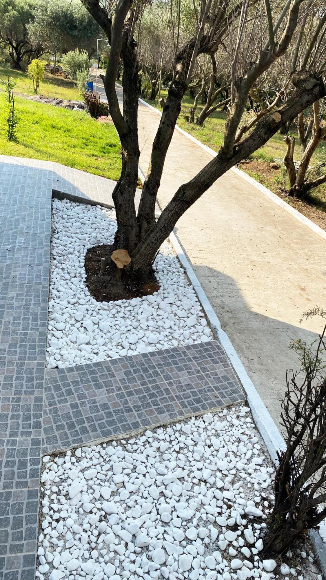 Mediterranean Escape Flogita Exterior photo